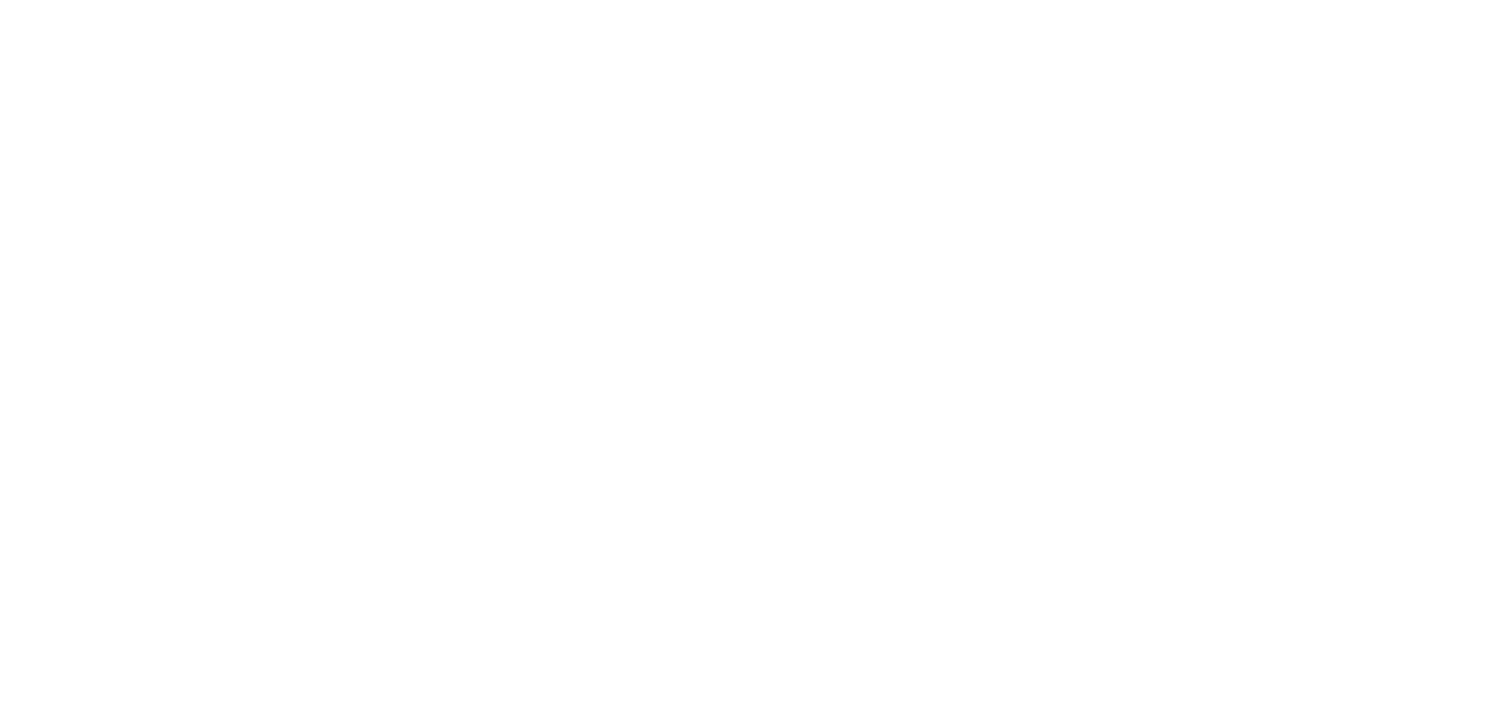 RockingData Logo